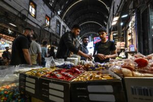 सिरियाले विदेशी लगानी बढाउन स्थिरता र भरपर्दो परियोजना चाहिन्छ